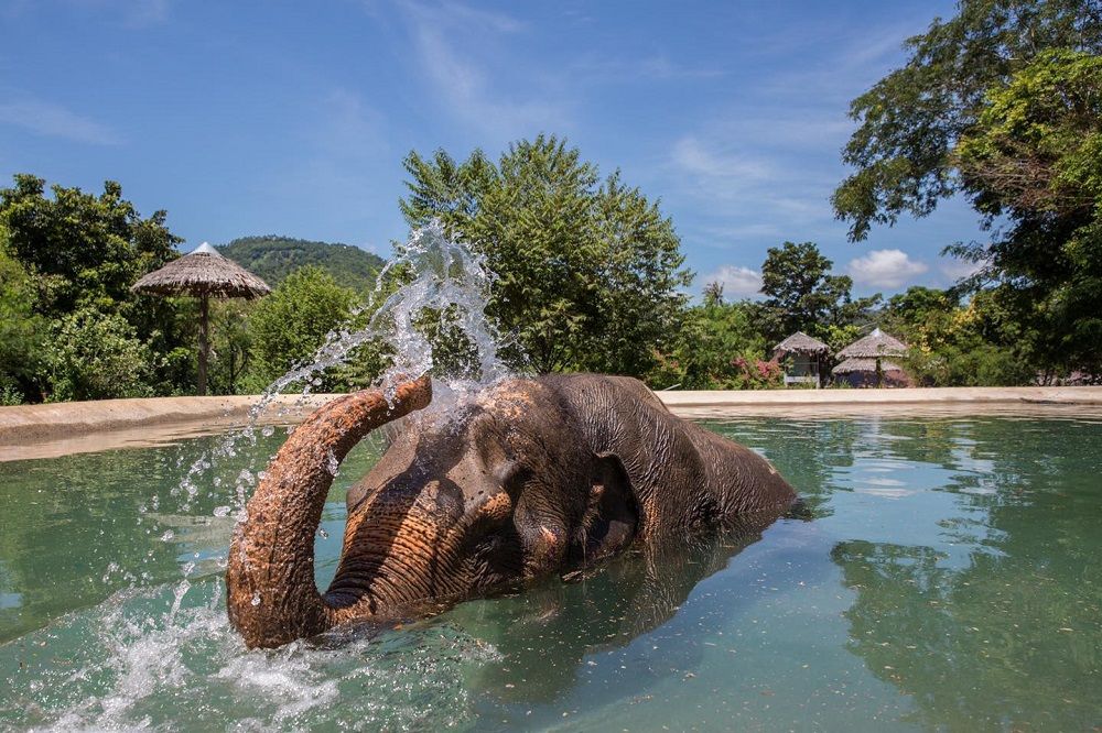 Thailand Adventure Escape (Phuket-Krabi-Phi Phi) — photo 3