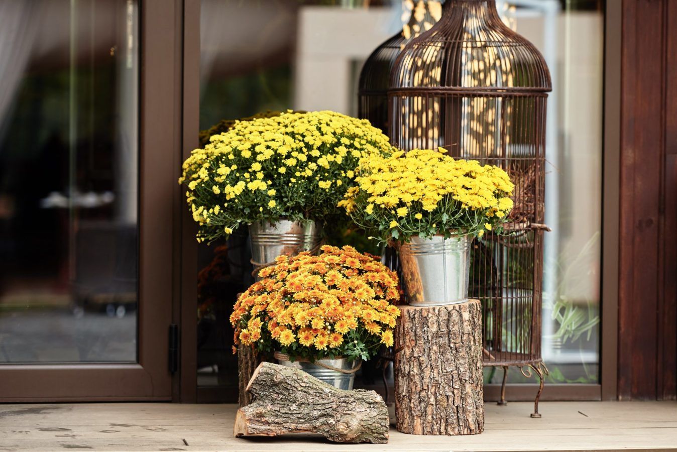How to put together a show-stopping fall planter