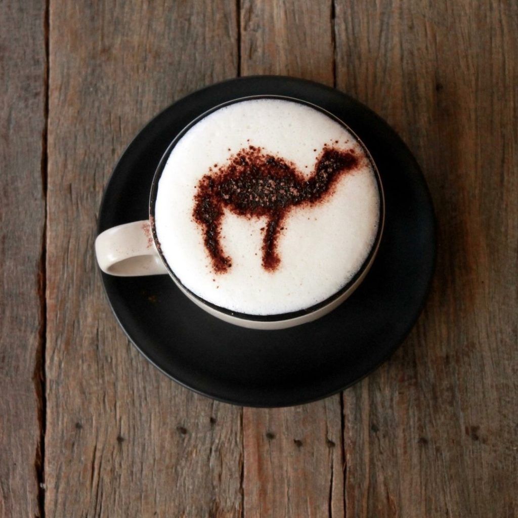 Move over classic cappuccino! We have a new superdrink now — camelccino