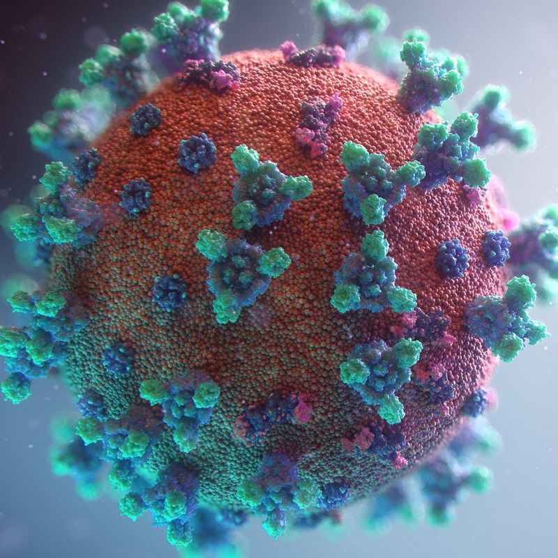Do you need an antibody test to check if the COVID-19 vaccine is still working?