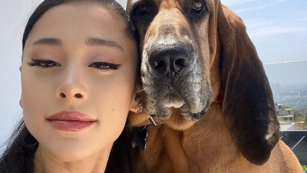 Billie Eilish to Ariana Grande: 10 celebrities you might not have known are vegan