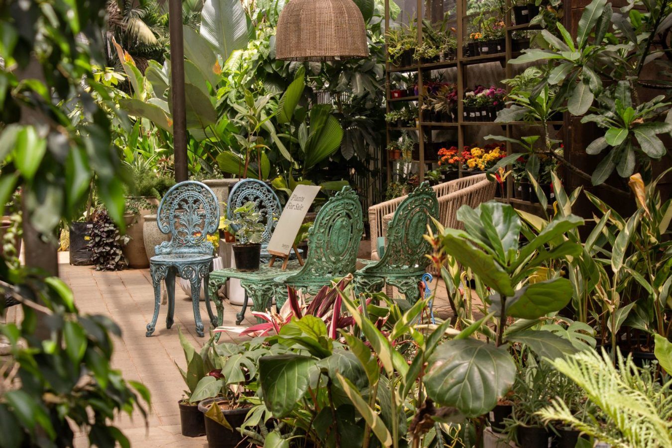 Beruru a complete gardening and outdoor decor destination in Bengaluru