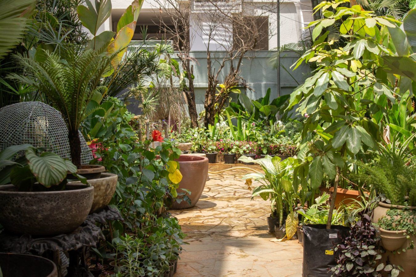 Beruru a complete gardening and outdoor decor destination in Bengaluru