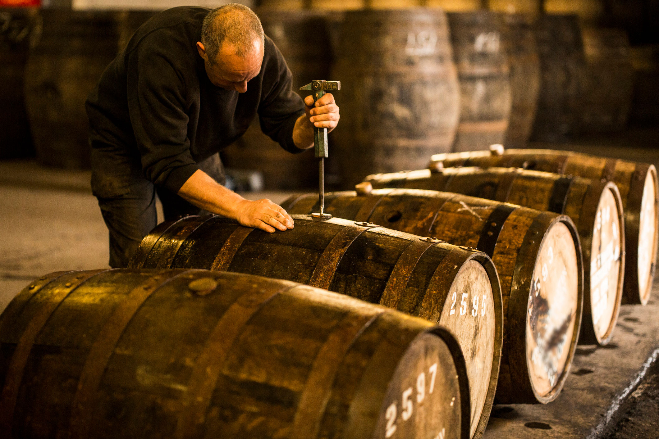 whisky investing tips