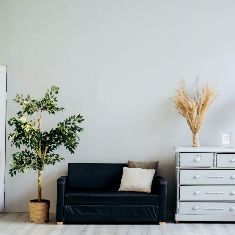 Feng Shui 101: Everything you need to know and tips to use