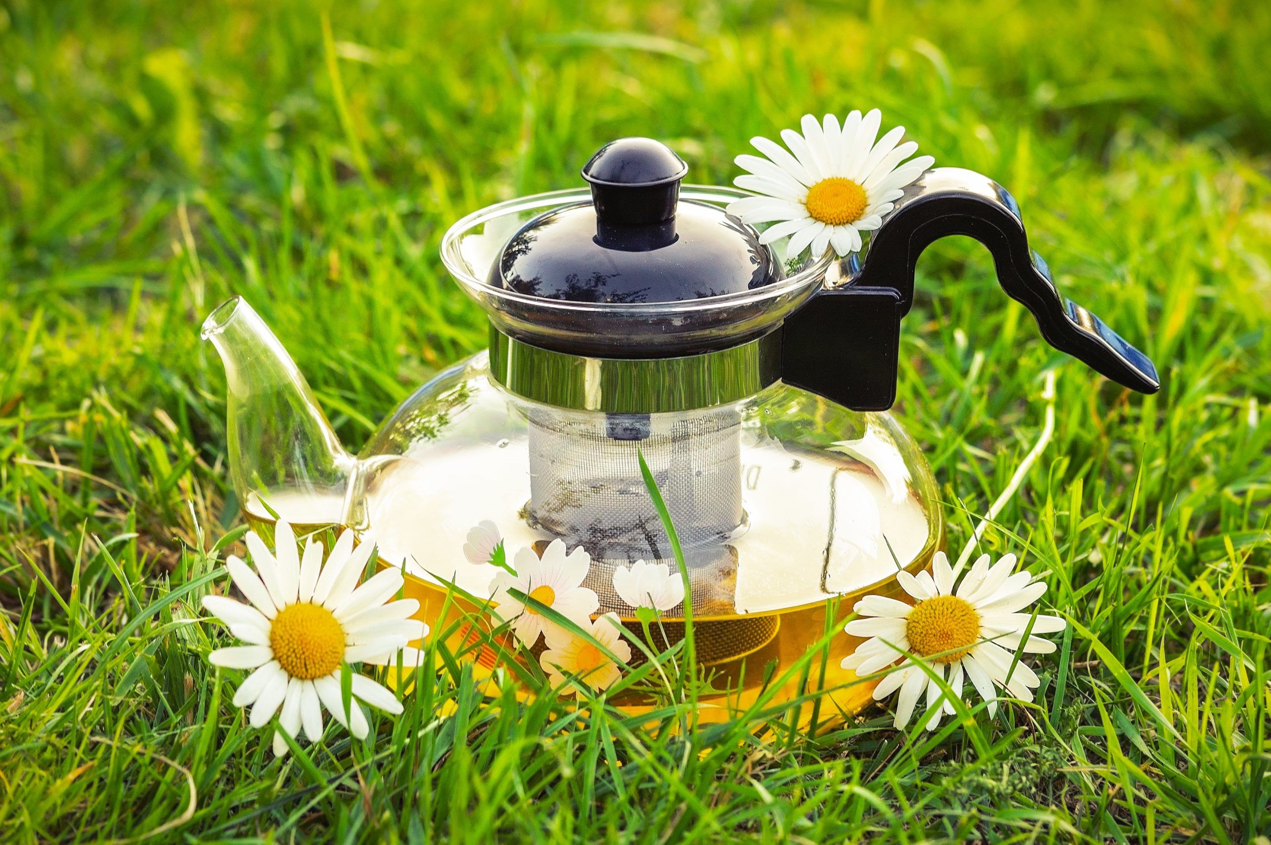 Chamomile tea