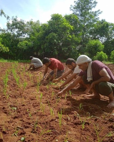 Hamsah Organic Farm and Sustainable Living, Karnataka