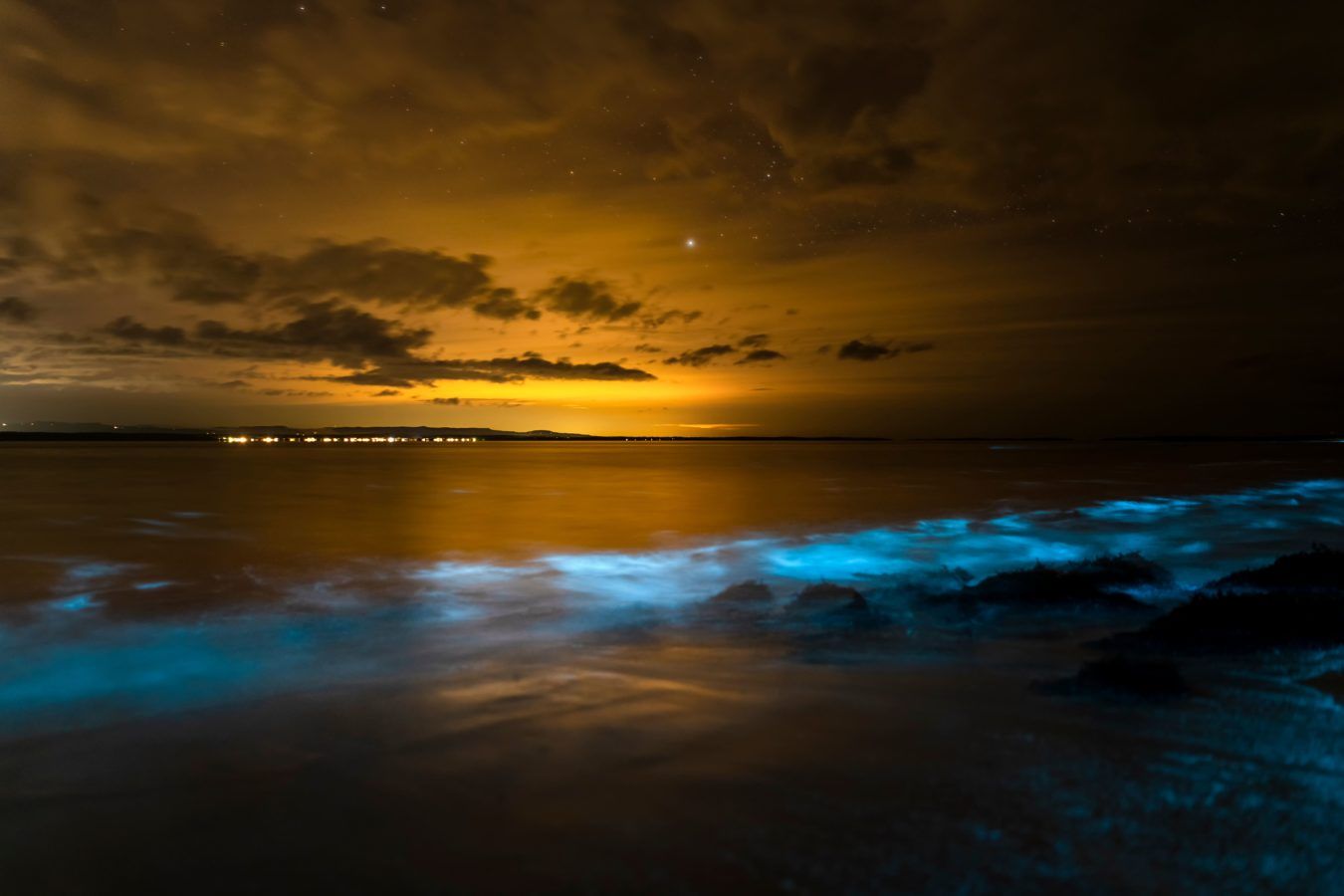 Get a glow in the dark experience at these bioluminescent beaches in India