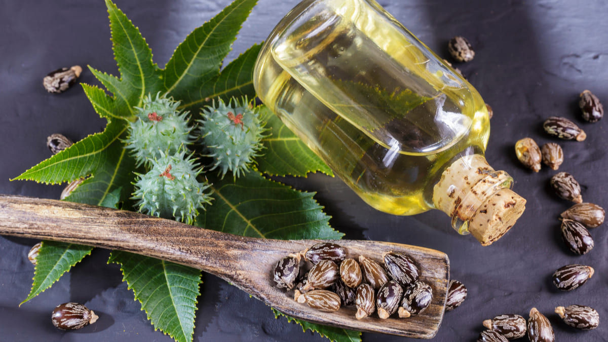 Castor Oil for Hair: The benefits, and how to use it (plus, best buys)