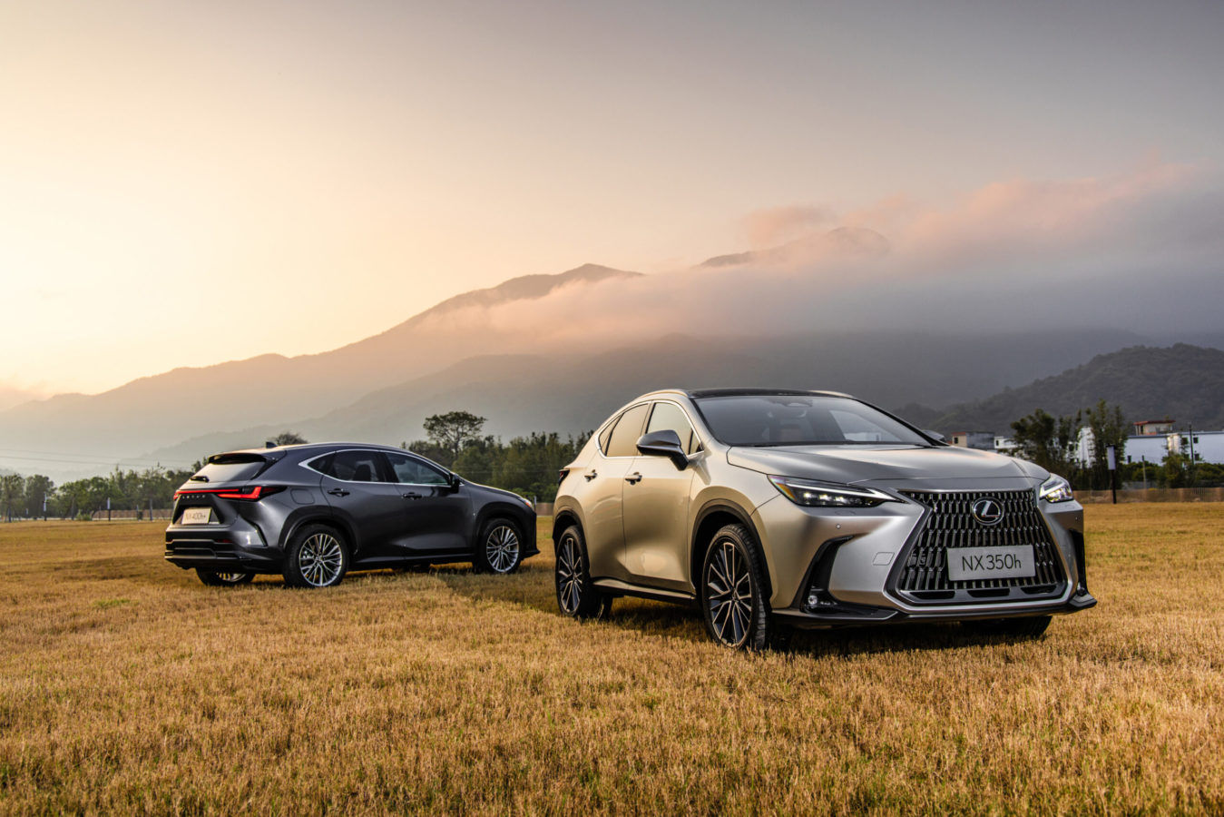 LSA Reviews The Lexus NX 350h Ergonomic genius and nifty hybrid