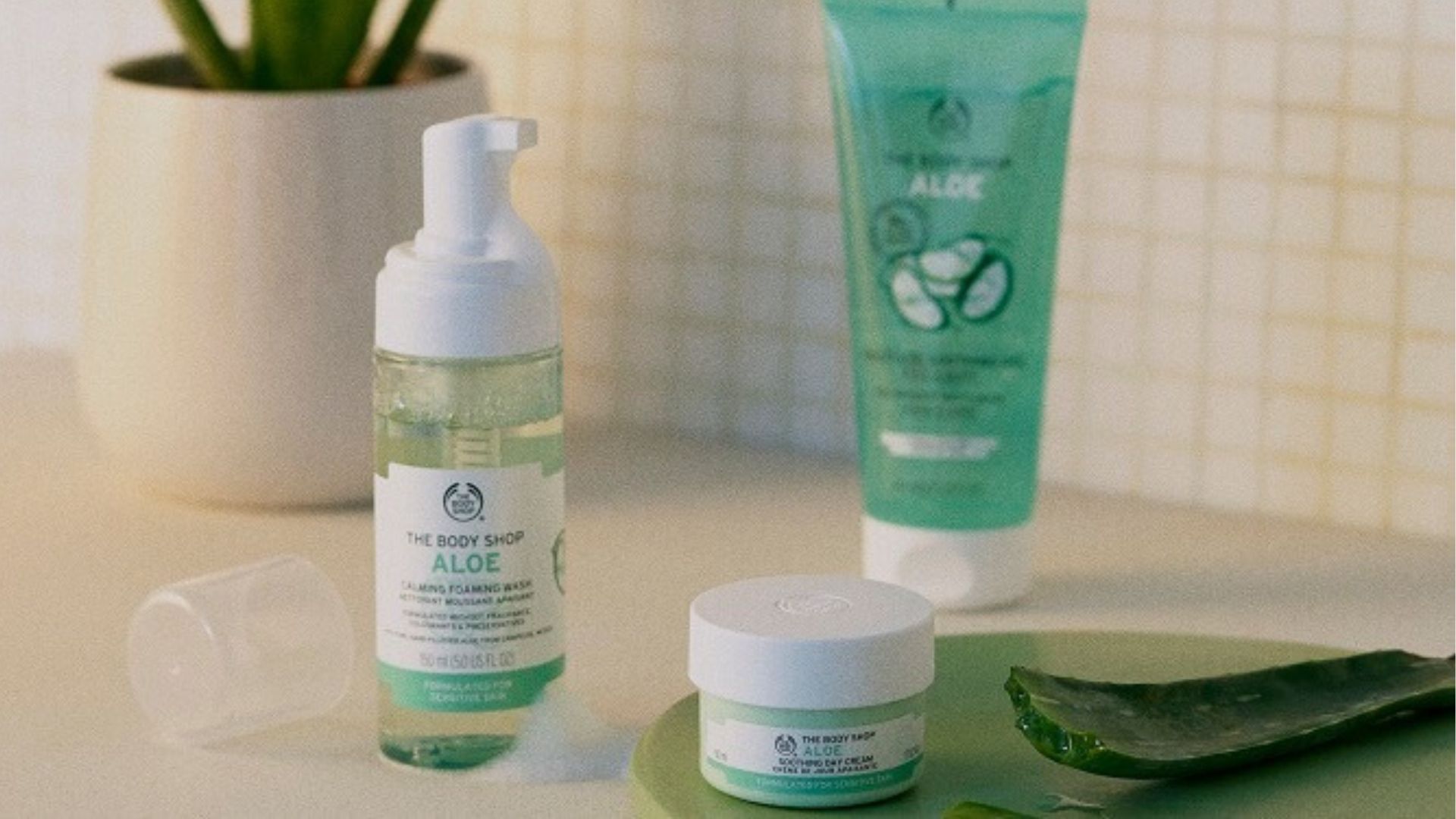 aloe butter Aloe Vera: Whipped Shea Butter main image 1