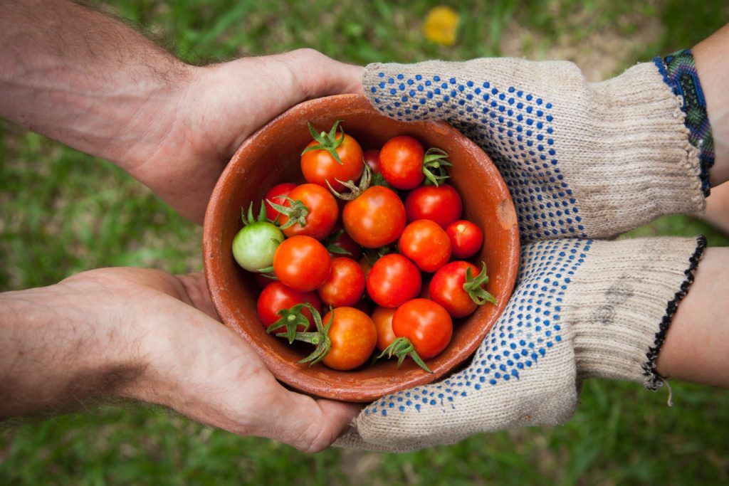 foods with UV protection