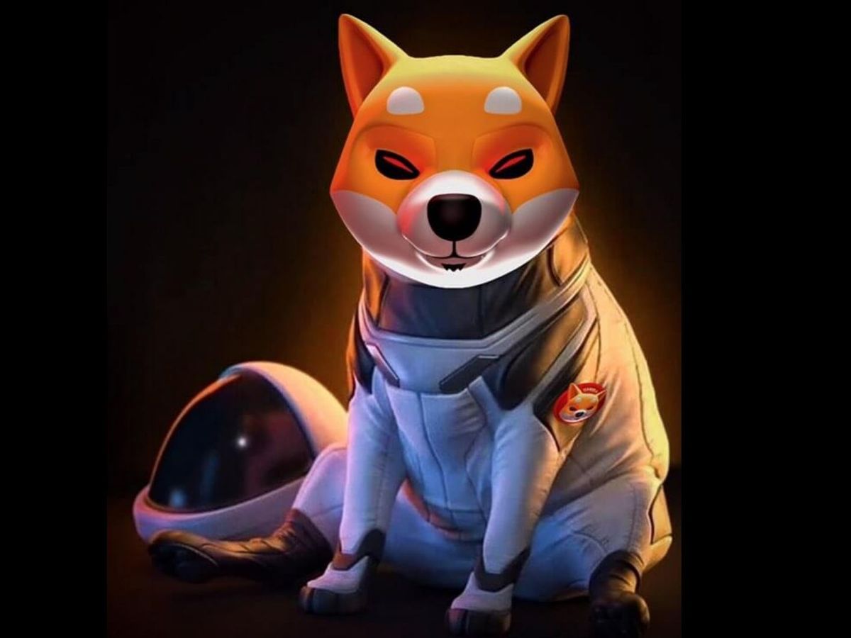 How Shiba Inu became one of the leading tokens in the crypto world