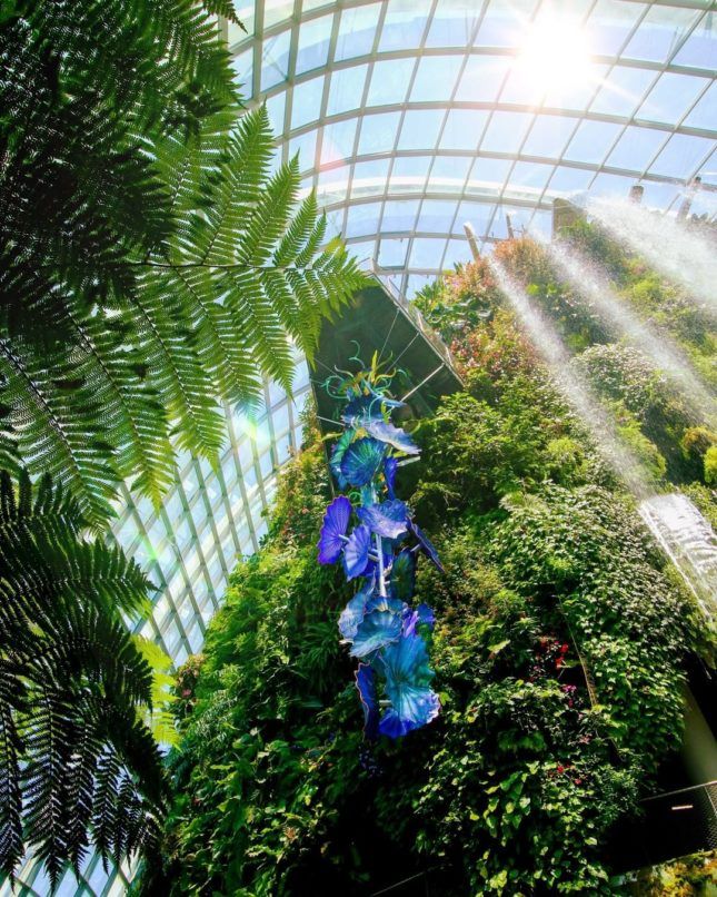 Image: Gardens by the Bay/IG