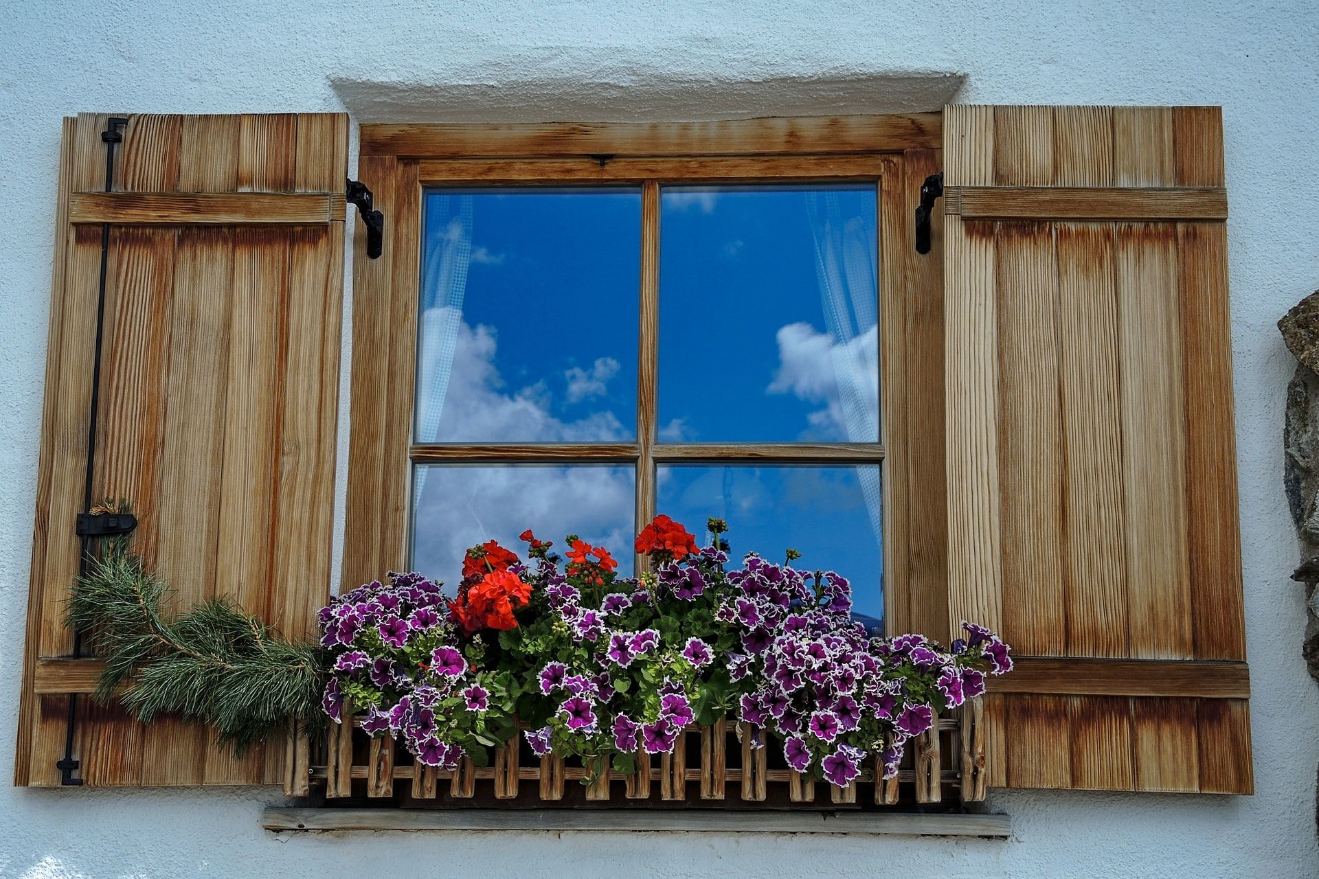 The best types of flowers for your window boxes