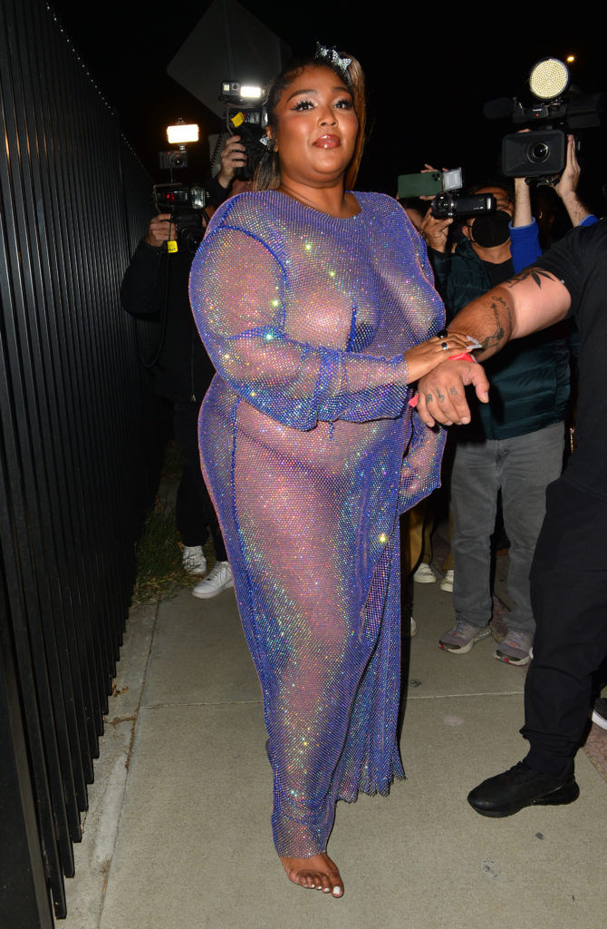 Naked dresses - celebrities wearing see-through and sheer fashion