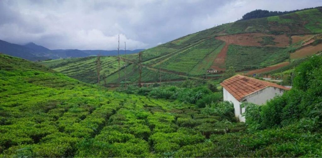 Camp at these picturesque spots around Bengaluru this summer