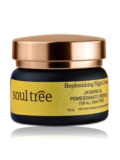 Soultree Replenishing Night Cream