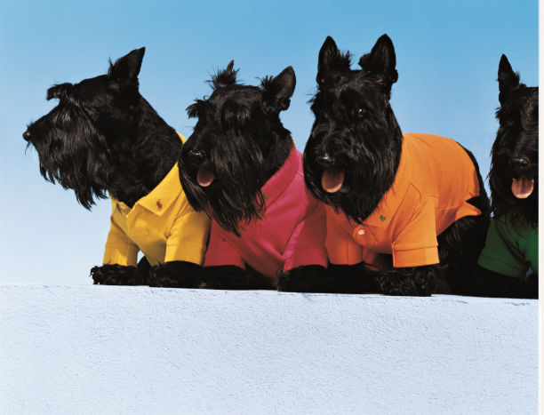 Rizzoli's 'Ralph Lauren's Polo Shirt' Chronicles 50 Years of Polos