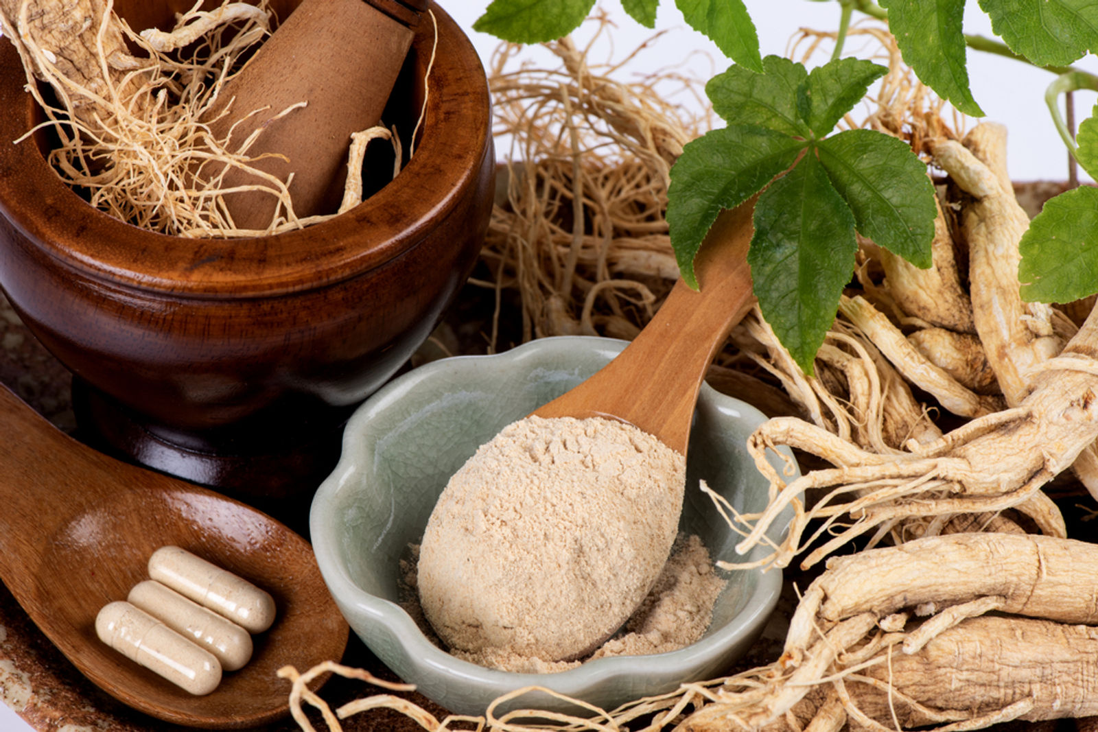 Korean beauty ingredient ginseng and its anti ageing properties