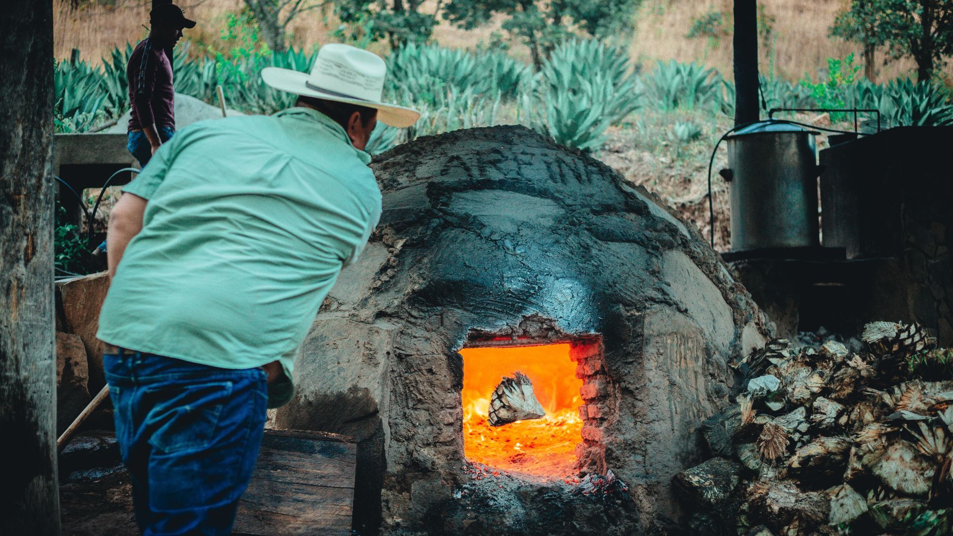 Cooking process of tequila and mezcal