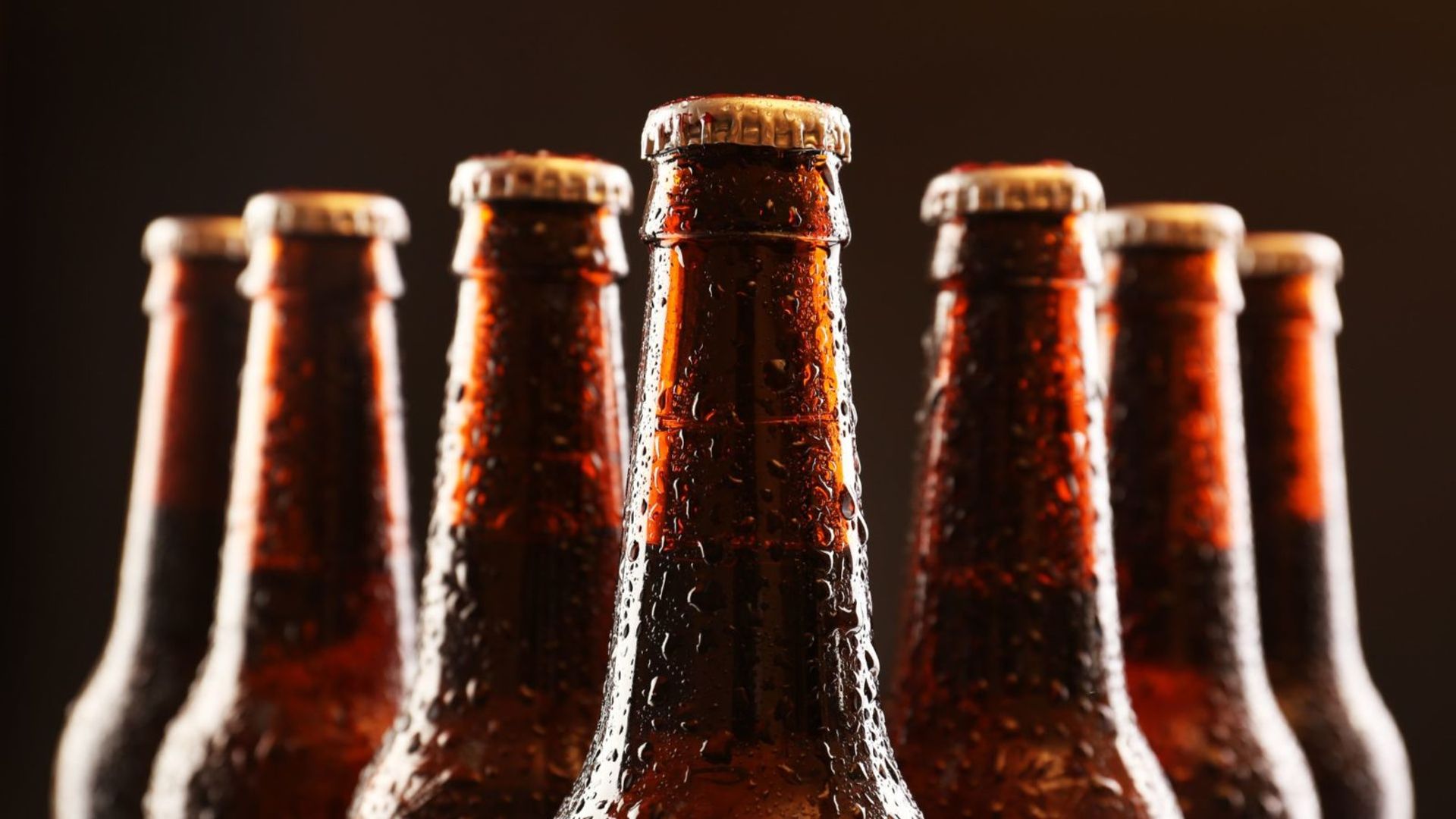 Best non alcoholic beers in India for a hangoverfree hop experience