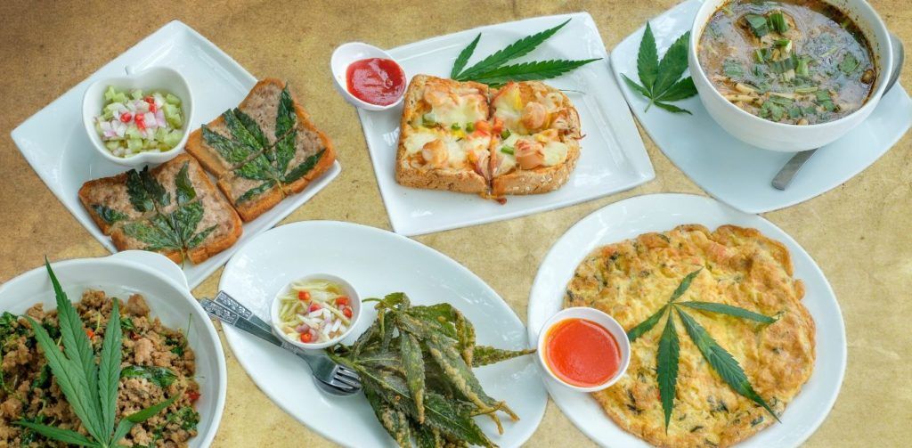 India’s first hemp-based cloud kitchen opens in Mumbai
