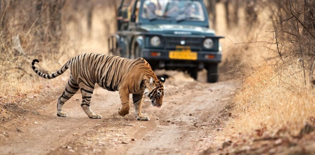 Know the difference between a wildlife sanctuary and a national park