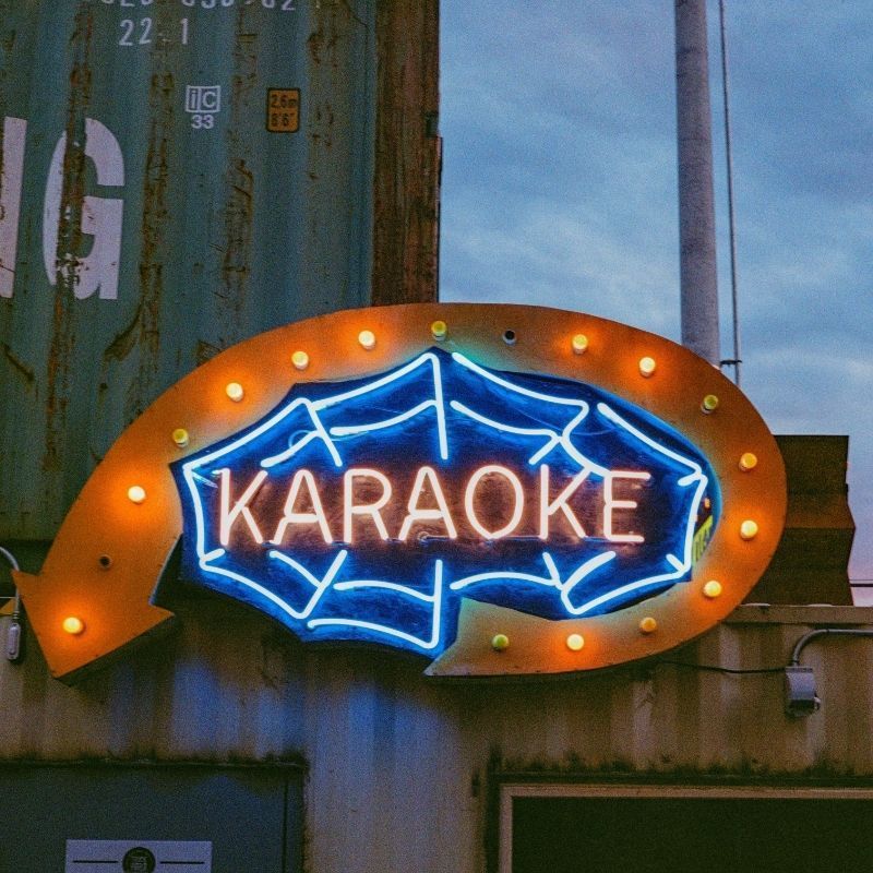 Sing along with 12 of the best karaoke apps for small parties