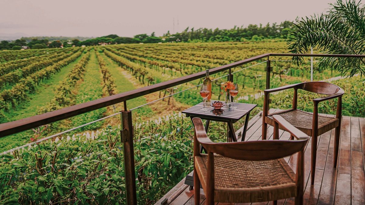best vineyards in Asia