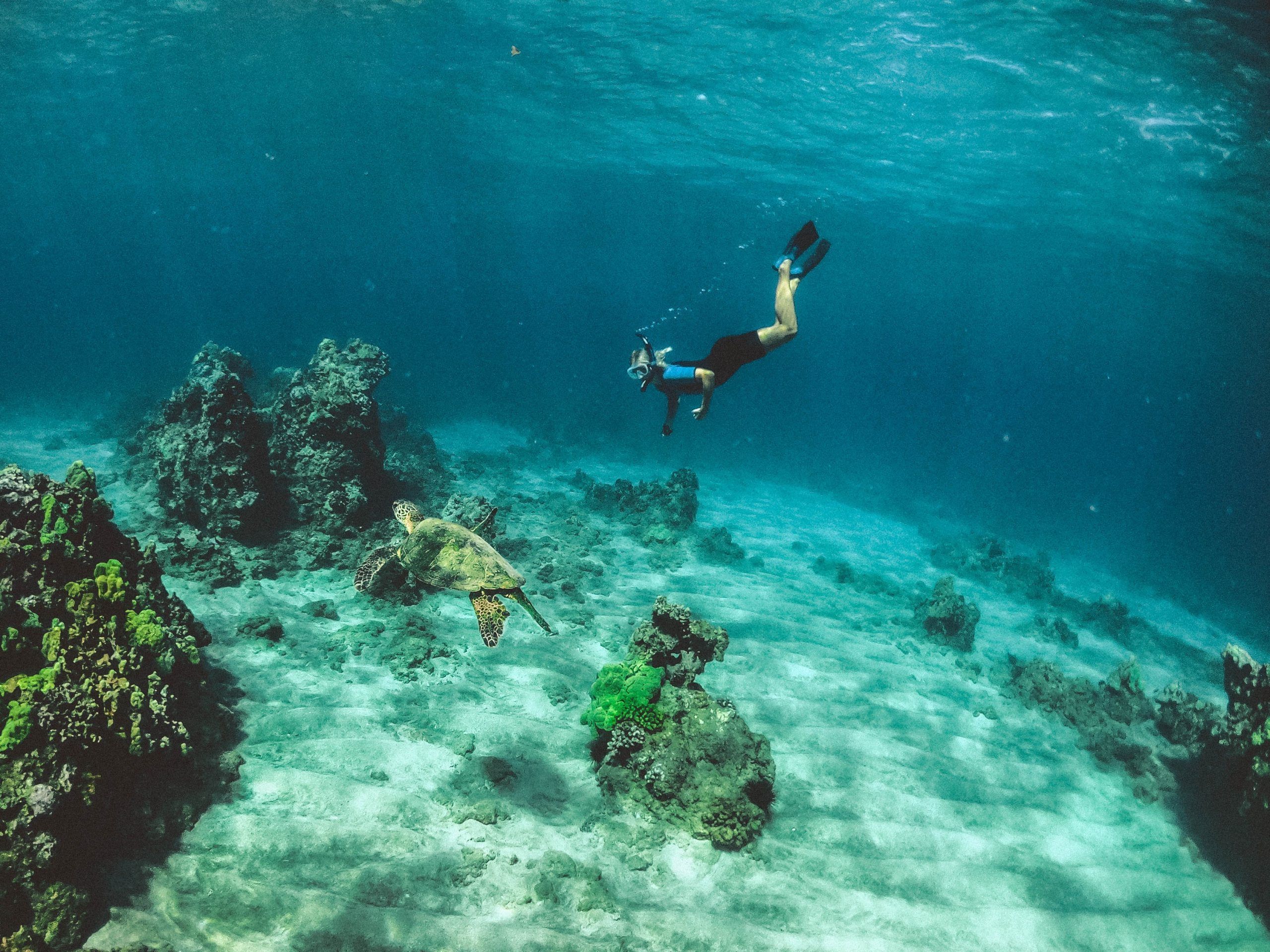 underwater