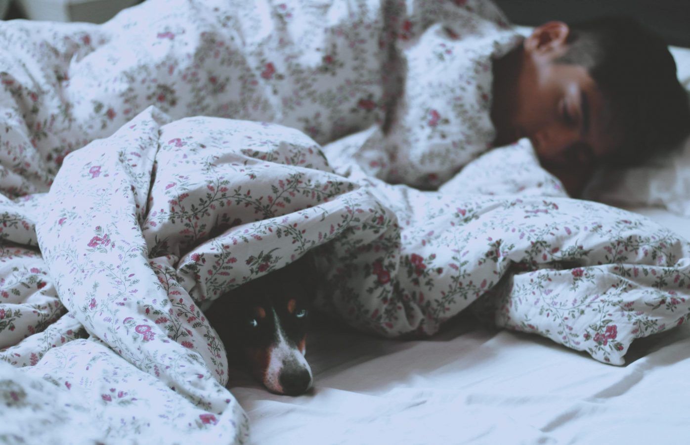 How to treat insomnia and tips to get some peaceful sleep