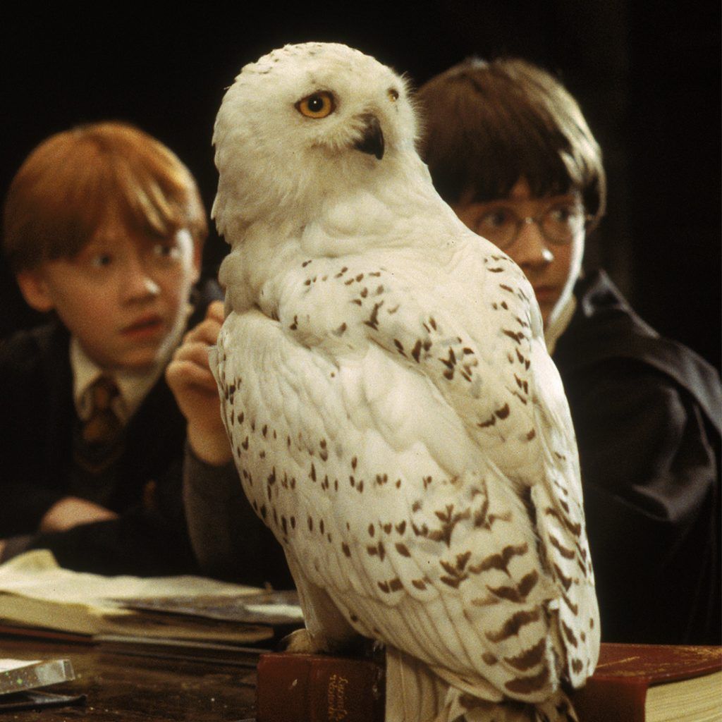 Got no plans? Here are 10 movies to watch on long weekends if you’re staying in