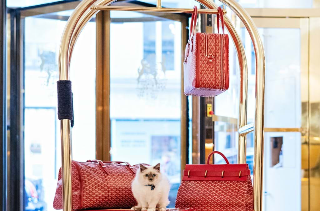 5 luxury hotels around the world with animals in residence