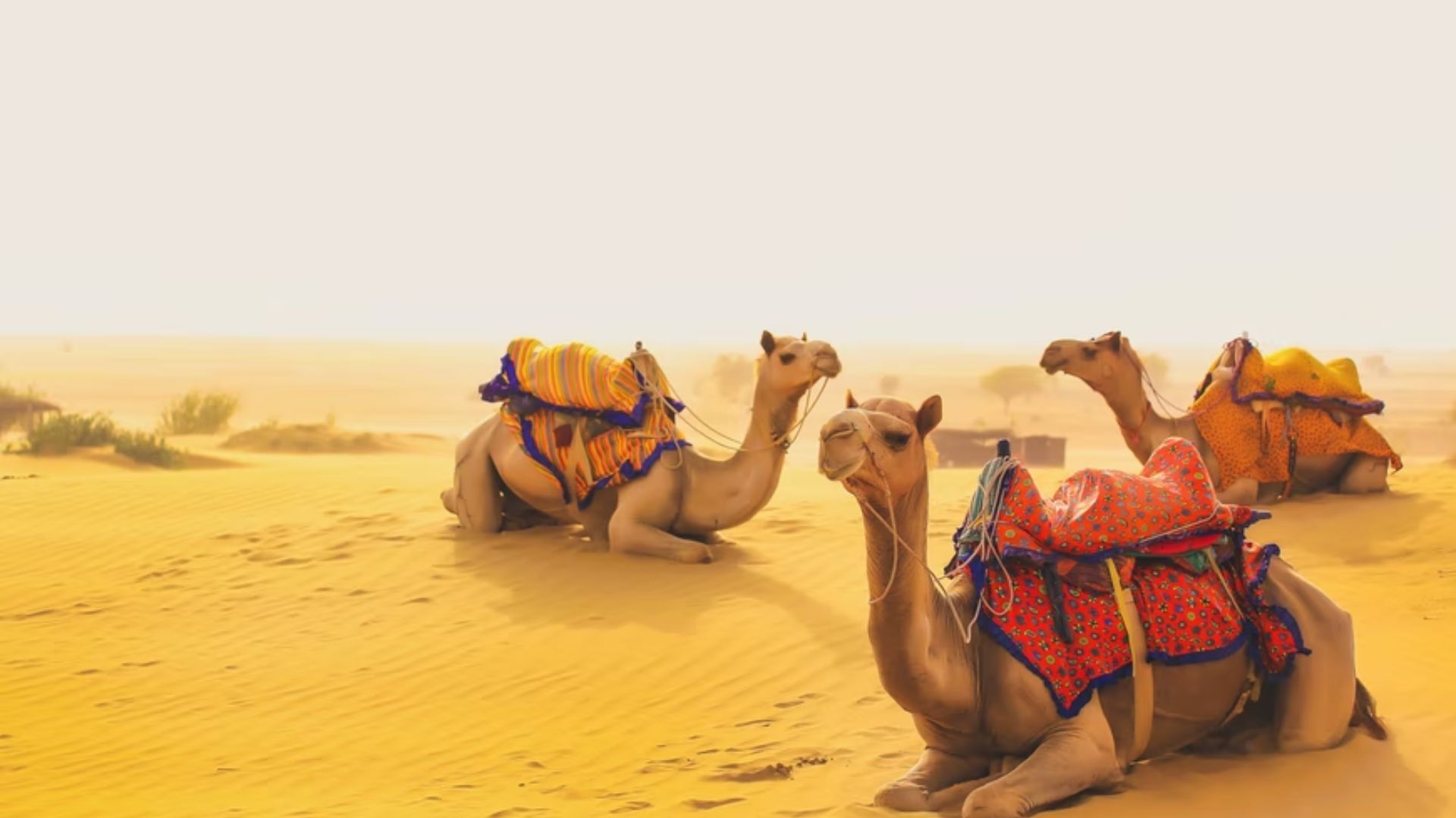 most beautiful places in Asia_Jaisalmer