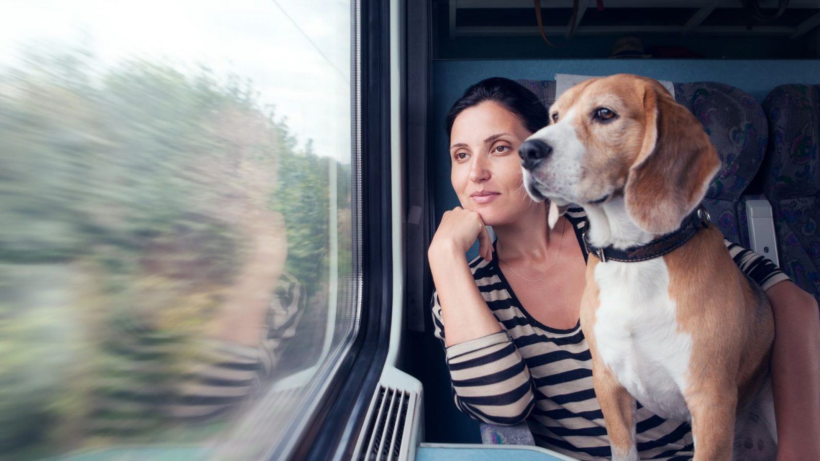 can we travel with dog in train in india