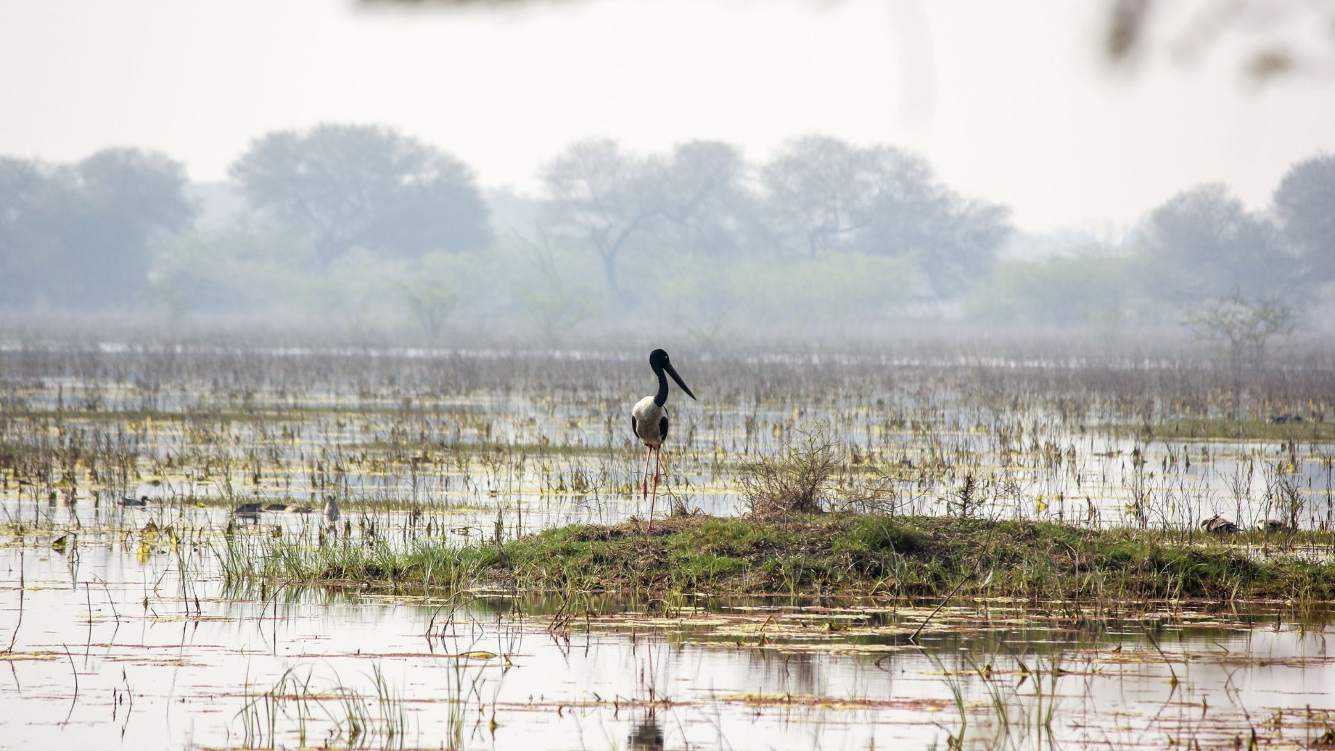 Places to visit in Novemeber in India