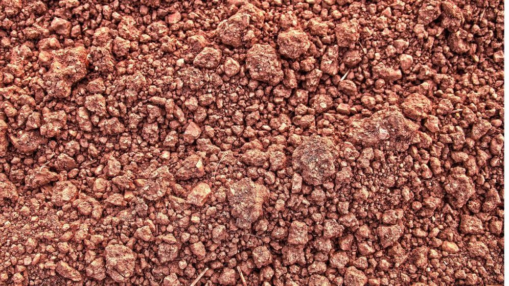 Virgo (23 August – 22 September) — Brown