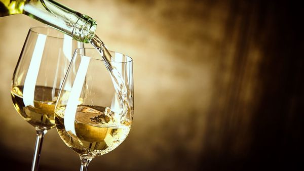 Refreshing white wines in India that are 'grape' additions to any ...