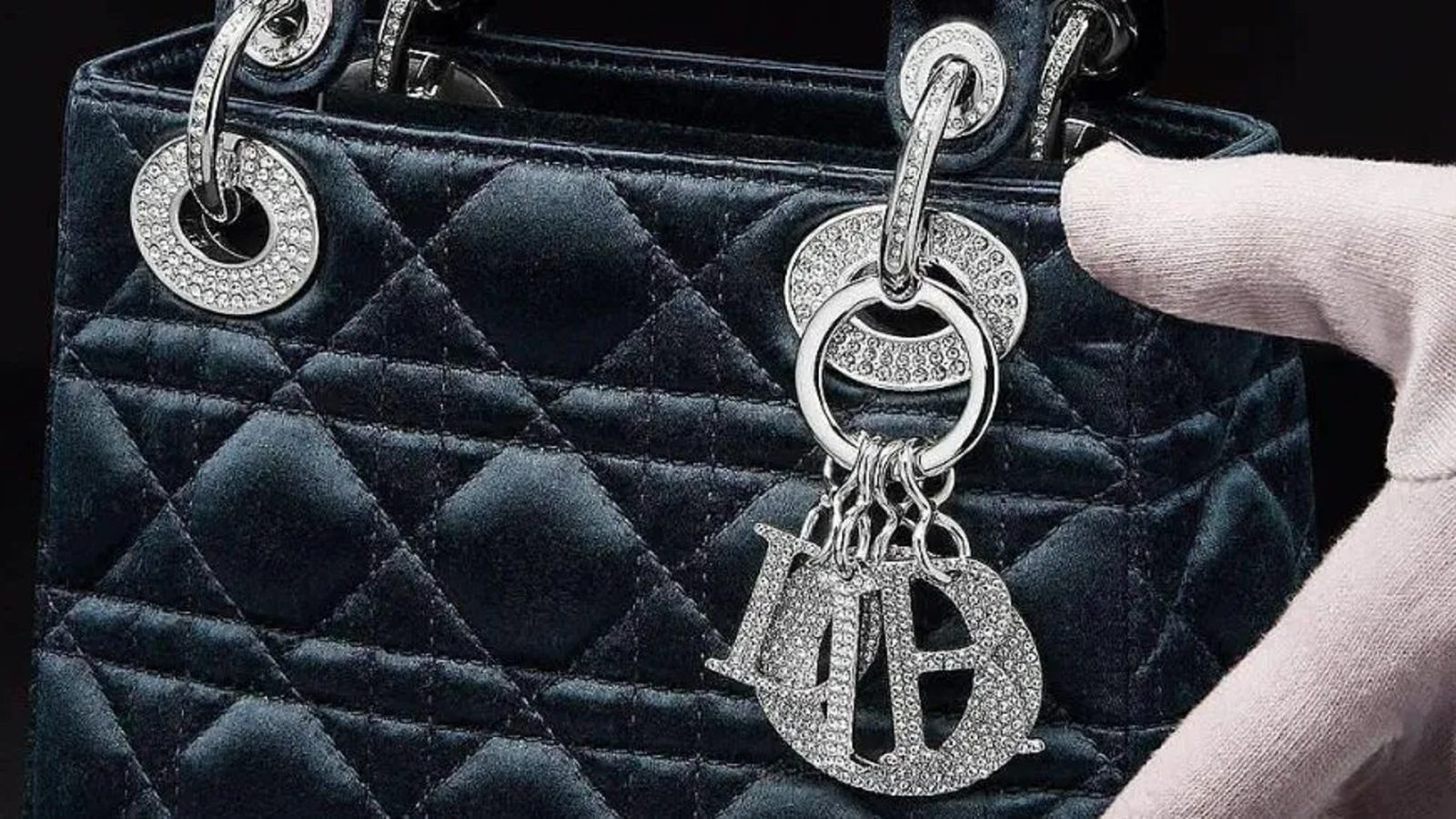 Lady Dior Pouch  THOROUGH Review 