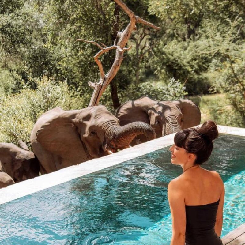 Visit these luxury resorts and safari lodges for an unforgettable experience