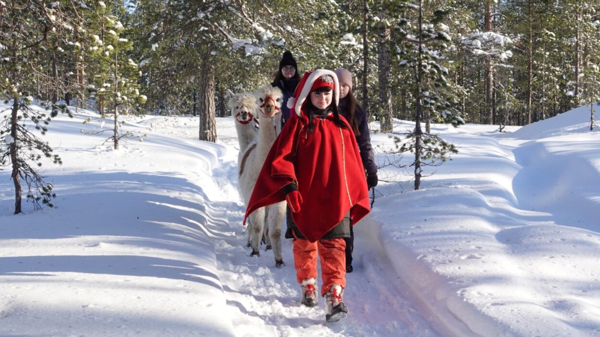 Indulge in the festive Christmas spirit at the Santa Claus village in Finland 8 Santa Claus village- elf farmyard