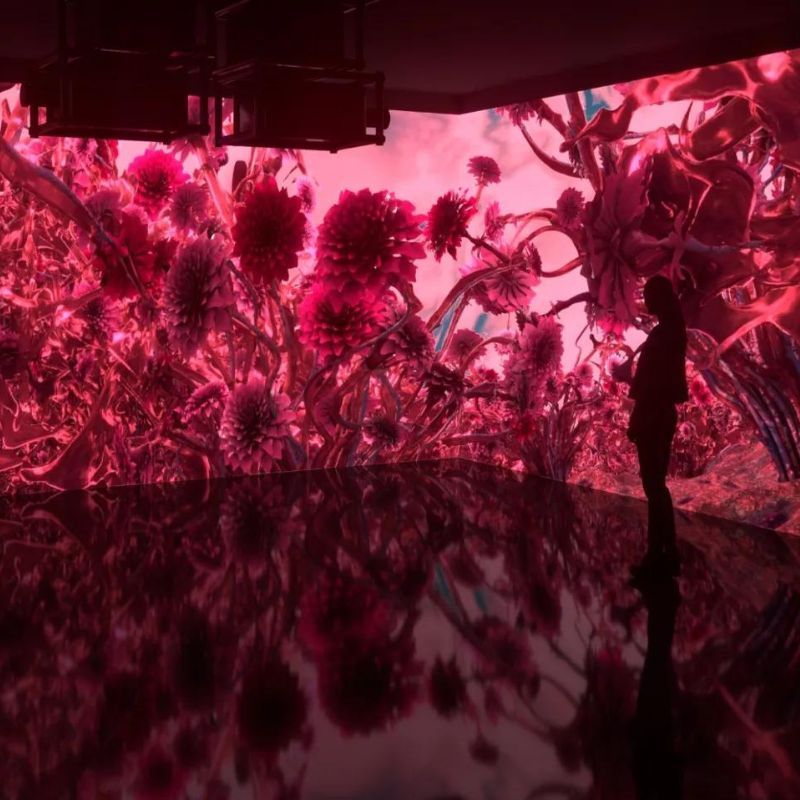 Pantone’s colour of the year for 2023 is Viva Magenta