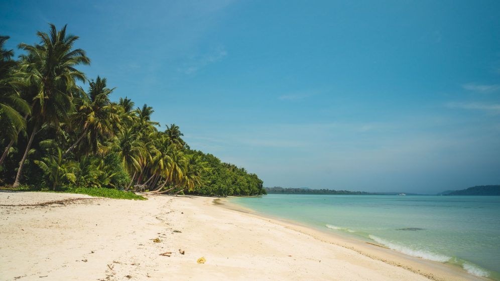 Cancer - Andaman and Nicobar Islands