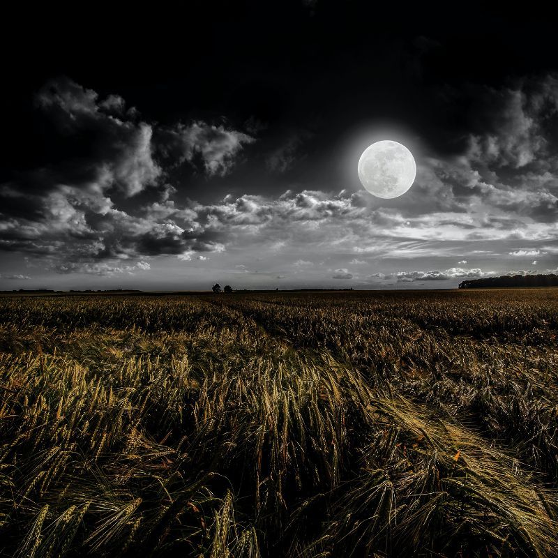 All the full moons in 2023 and how they affect the 12 zodiacs
