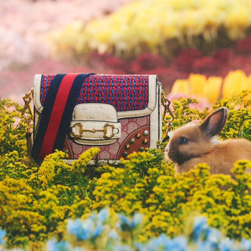 Gucci is celebrating Year of the Rabbit with a new collection