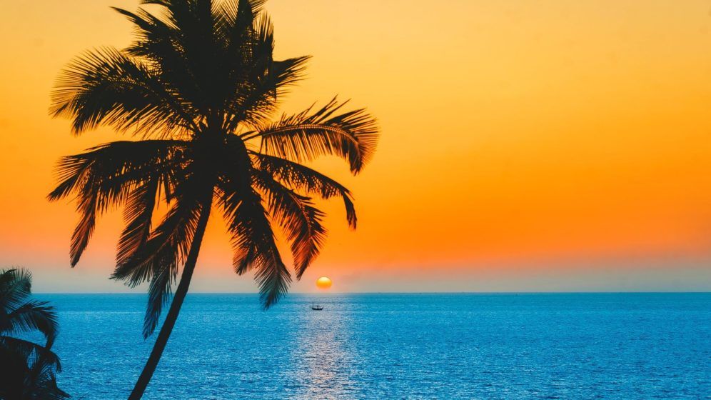 Cancer - Sundowner in Goa