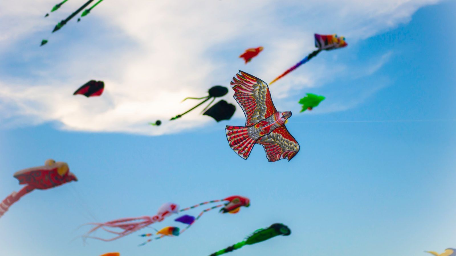 英國風箏節及各區音樂節 等你來參與