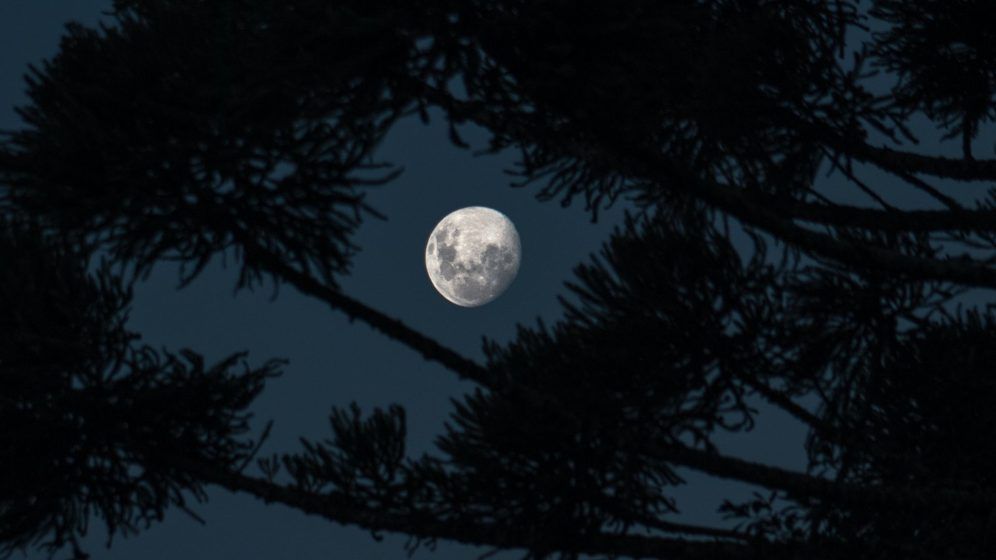 Wolf Moon 2023: Everything you need to know about this full moon