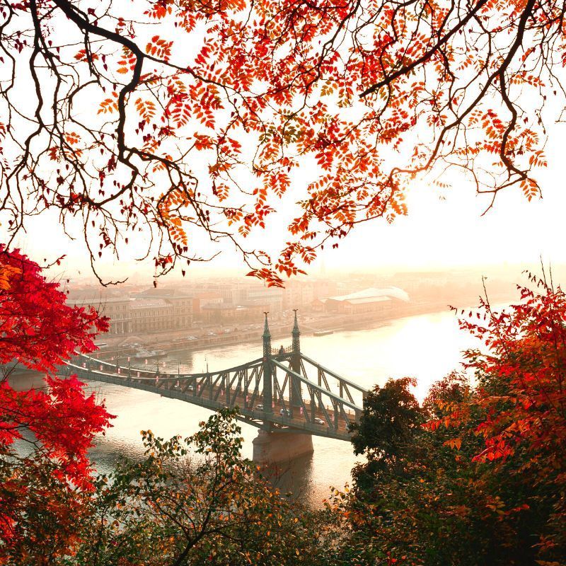 Plan a luxurious holiday in these foreign countries with higher Indian currency value